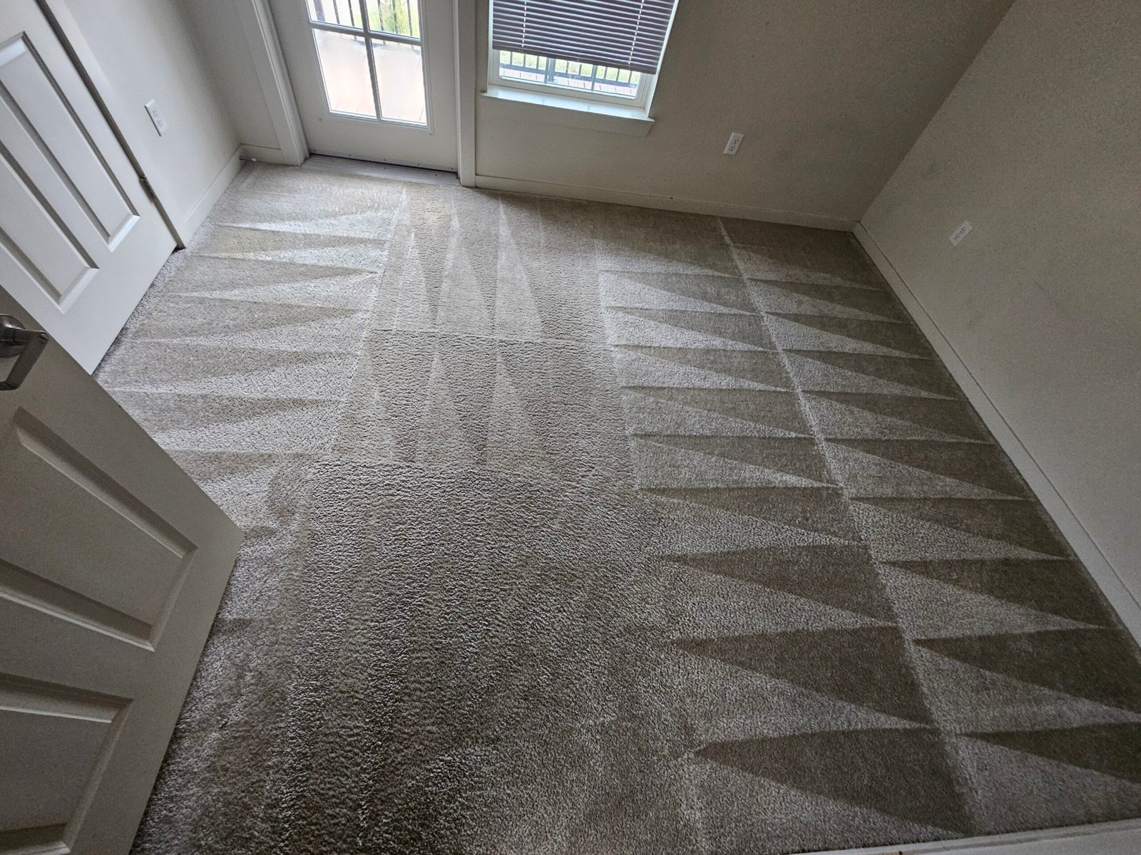 Freshly cleaned carpet with visible cleaning lines in a Pueblo home