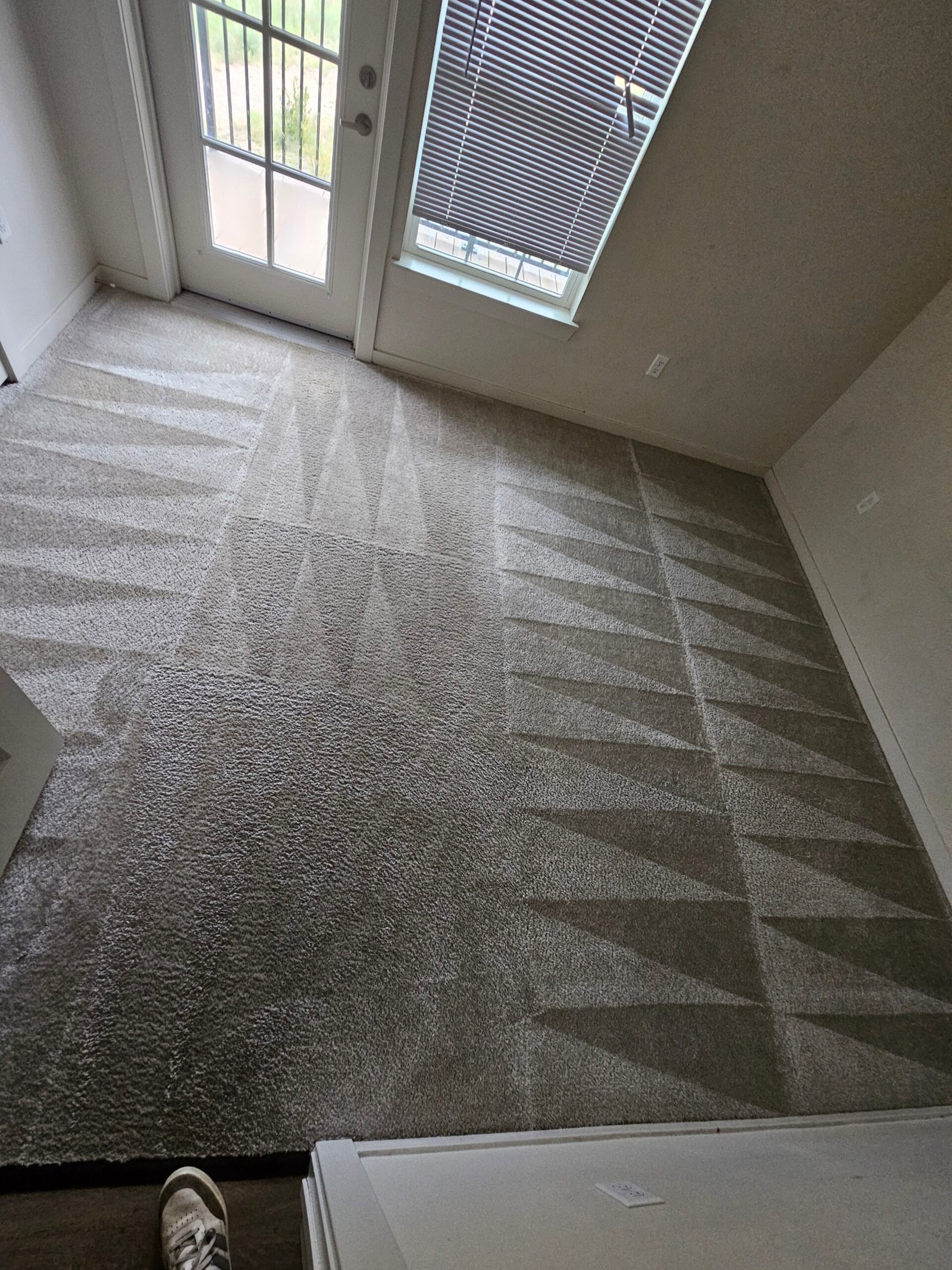 Fresh carpet cleaning lines near patio doors after service