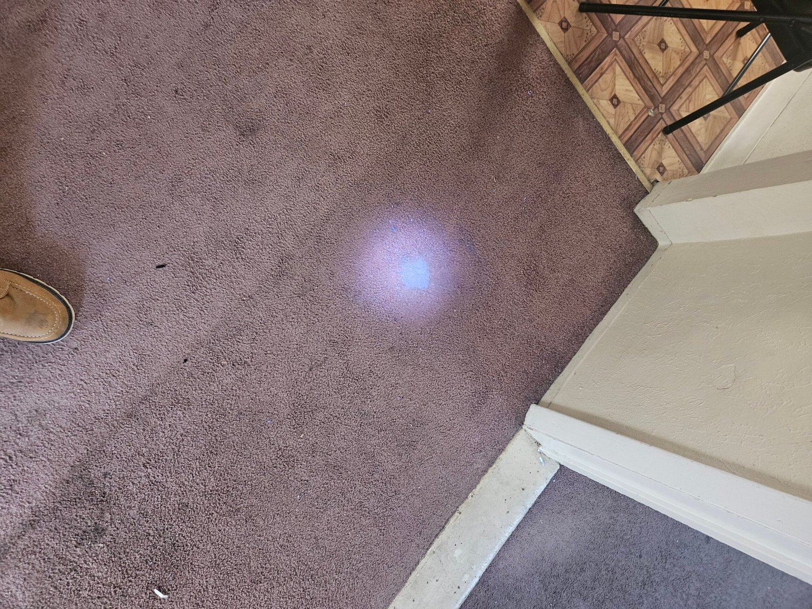 Clean area rug on wood floor after professional cleaning