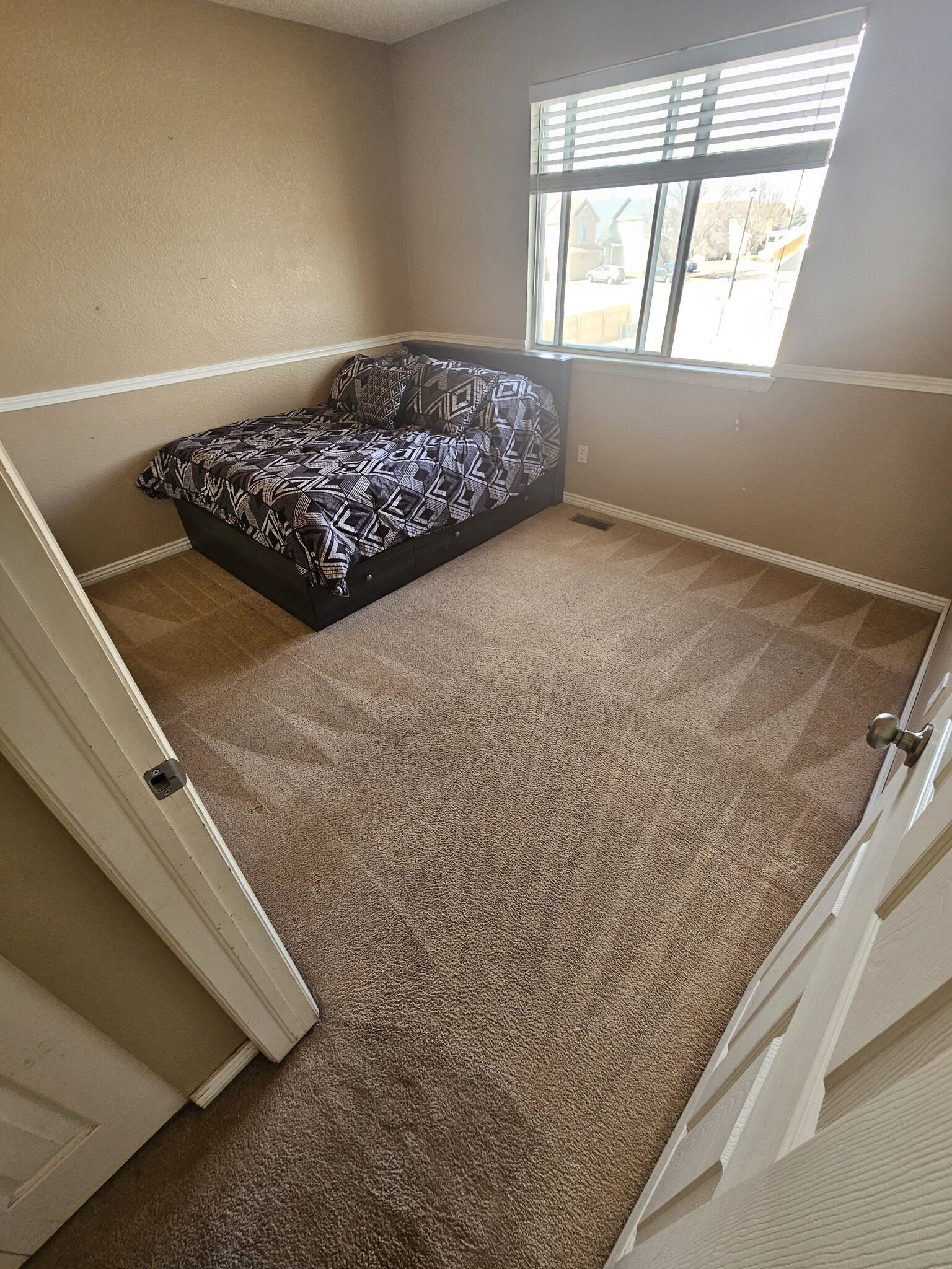 Pet Hair Removal Pueblo Co — All Floors Pueblo