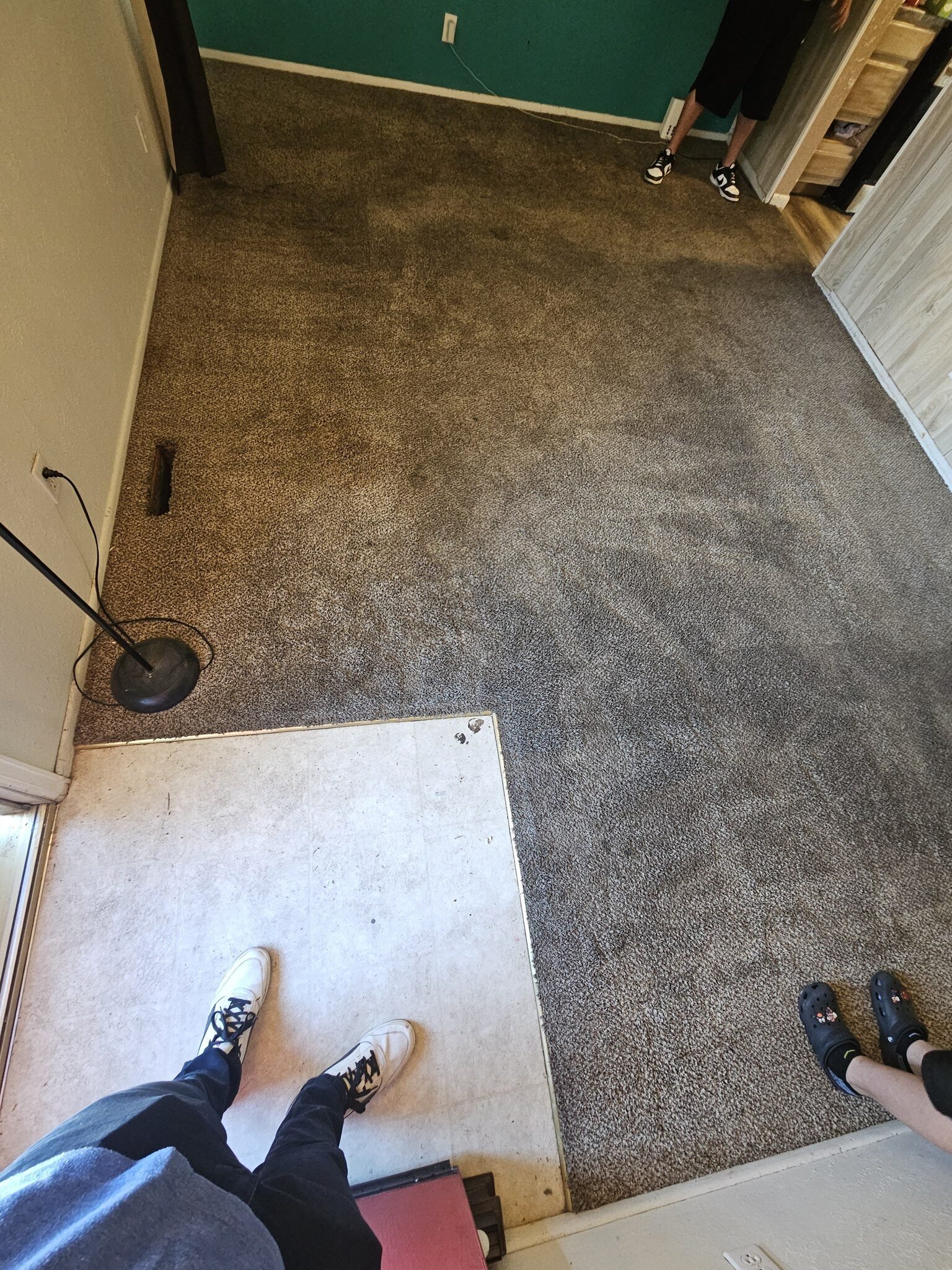 Wool Carpet Cleaning Pueblo Co — All Floors Pueblo