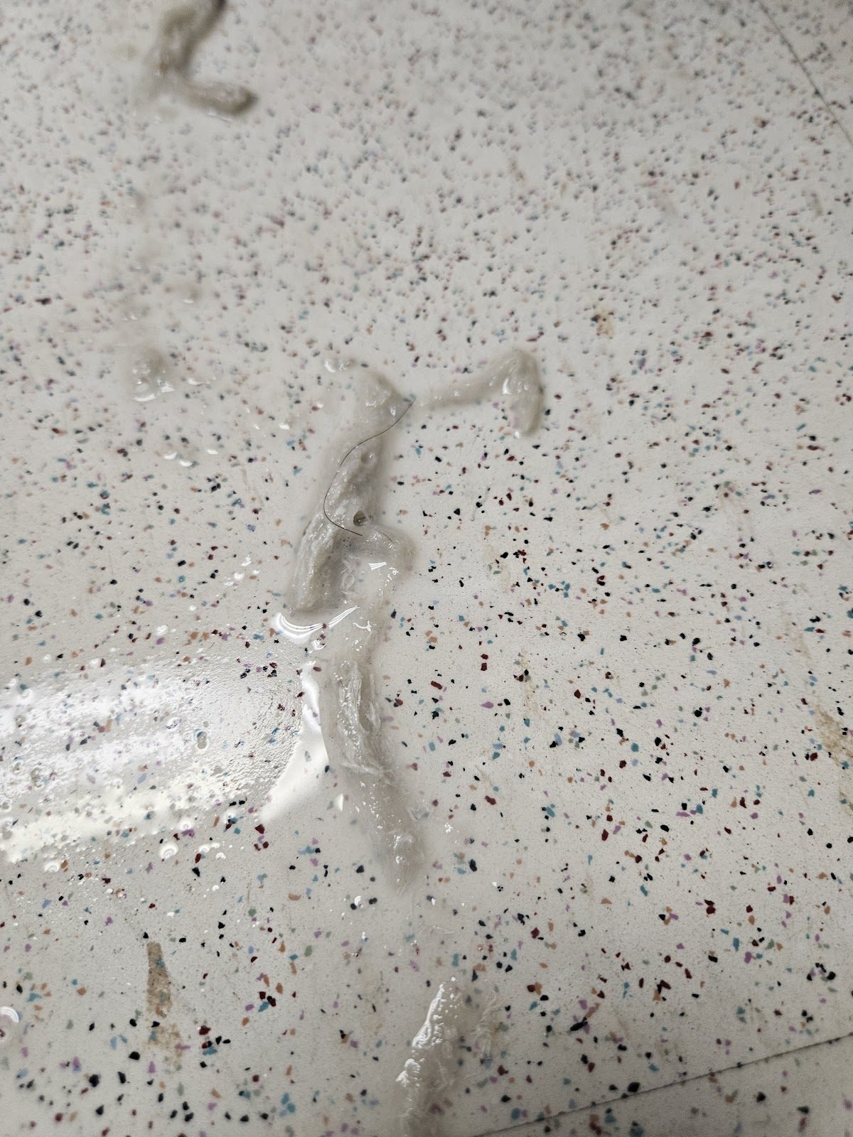 Grout deep cleaning closeup