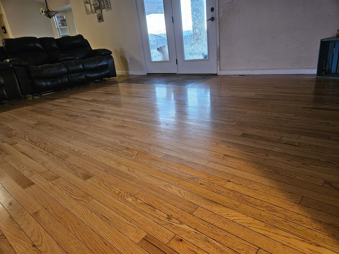 Hardwood refinishing Pueblo — refinished oak living room