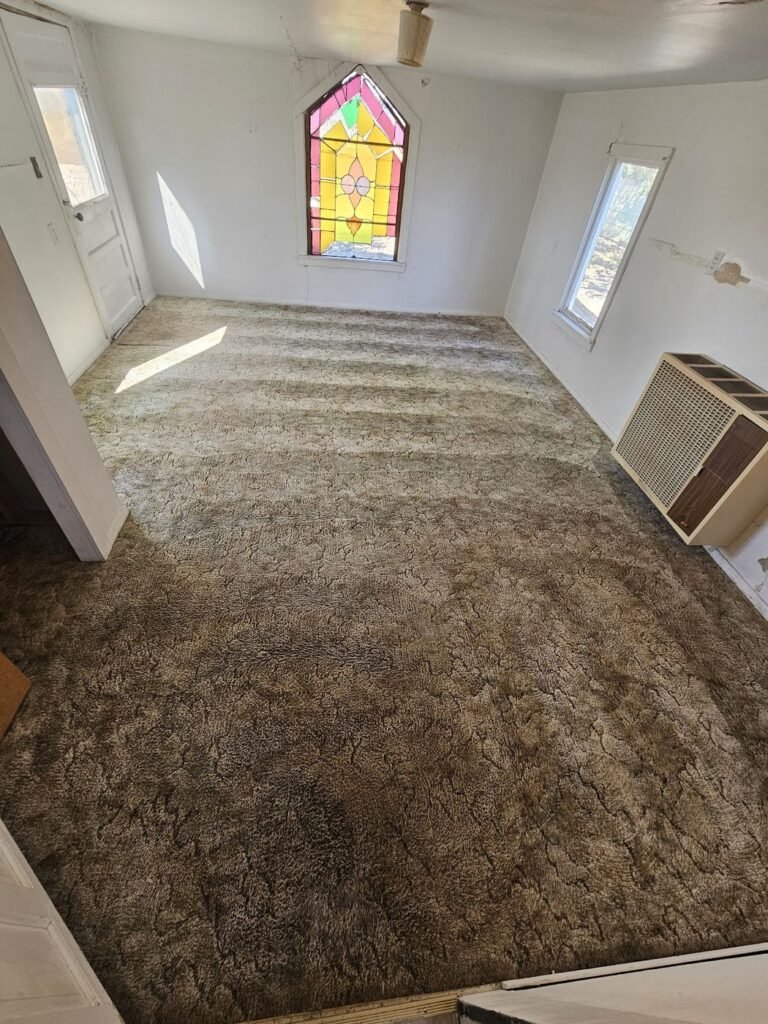 Carpet cleaning Pueblo CO - before and after professional clean - All Floors Pueblo