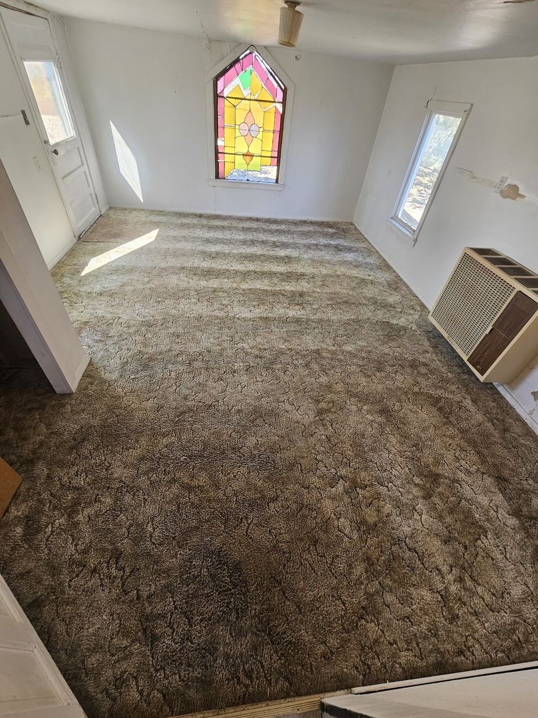 Dramatic carpet cleaning transformation Pueblo