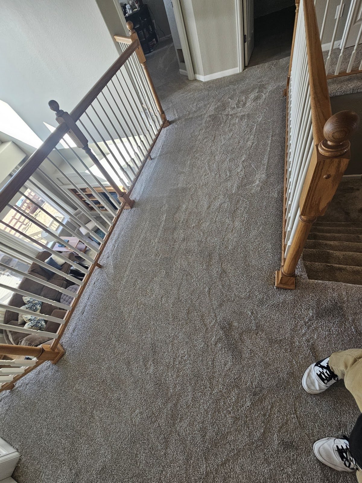 Professional upholstery cleaning Pueblo