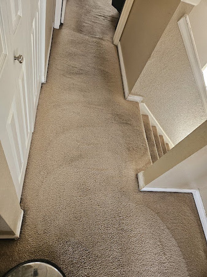 Hallway Carpet after professional cleaning by All Floors Pueblo