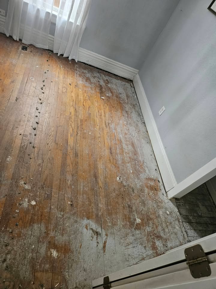 Worn hardwood floor before refinishing in a Pueblo home — scratched finish, gray traffic lanes, exposed nail holes